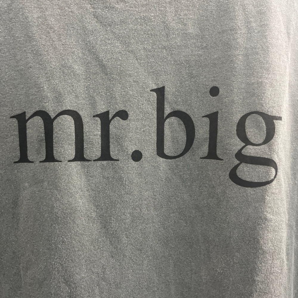Mr. Big Gray Women's Short Sleeve Tee Sex in the City Merch 90s HBO rare vintage - Picture 2 of 6